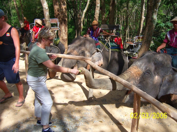Zdjęcie z Tajlandii - Karmienie słoni