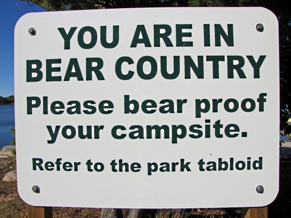 Zdjęcie z Kanady - Uwaga, Niedźwiedzie!