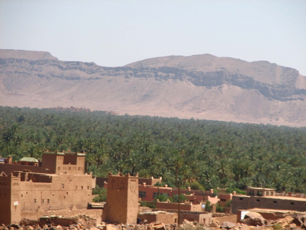 Zdjęcie z Maroka - Dolina Draa