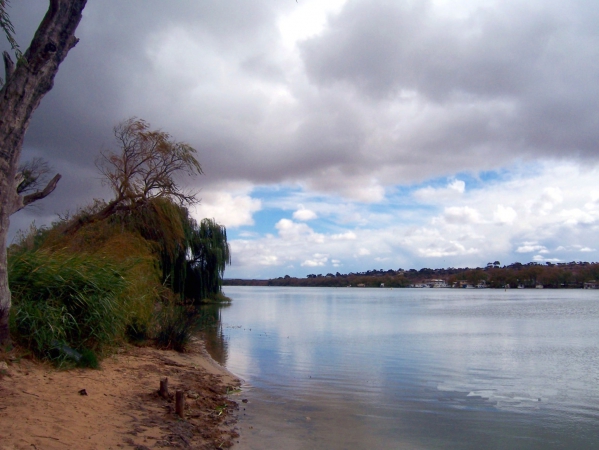 Zdjęcie z Australii - Nad Murray River