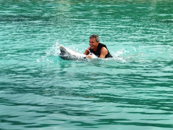 Zdjęcie z Jamajki - Ocho Rios - Dolphin Cove