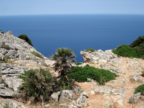 Zdjęcie z Hiszpanii - Lato na Majorce.