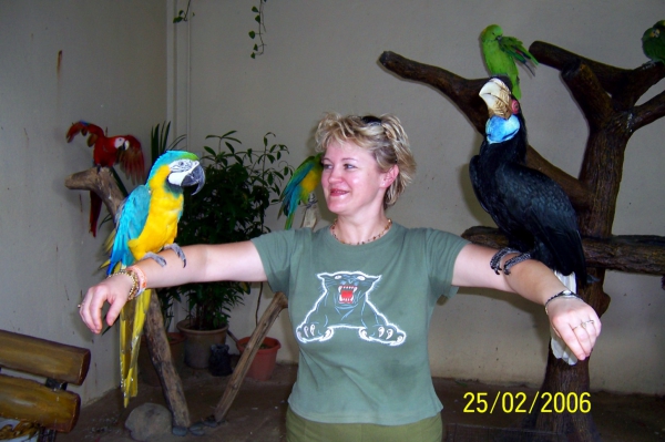 Zdjęcie z Malezji - Sesja z papuga i tukanem