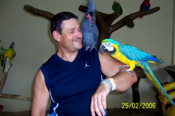 Zdjęcie z Malezji - Sesja z papugami w...