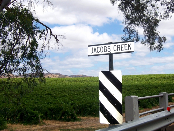 Zdjęcie z Australii - Winnice Jacobs Creek