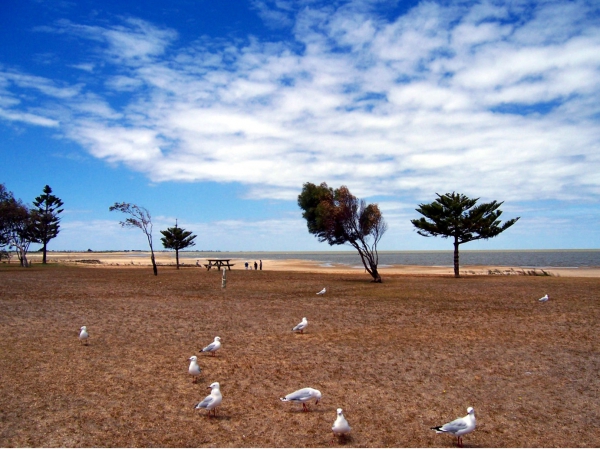 Zdjęcie z Australii - Jezioro Alexandrina...
