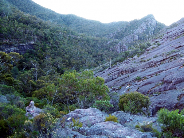 Zdjęcie z Australii - Na gorskim szlaku