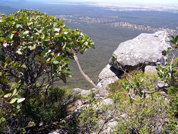 Zdjęcie z Australii - Widok ze szczytu...