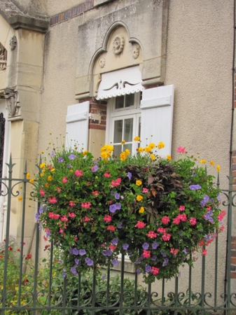Zdjęcie z Francji - Kwiaty z Provins.