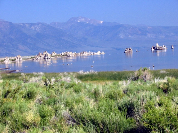 Zdjęcie ze Stanów Zjednoczonych - Mono Lake - Tufa South.