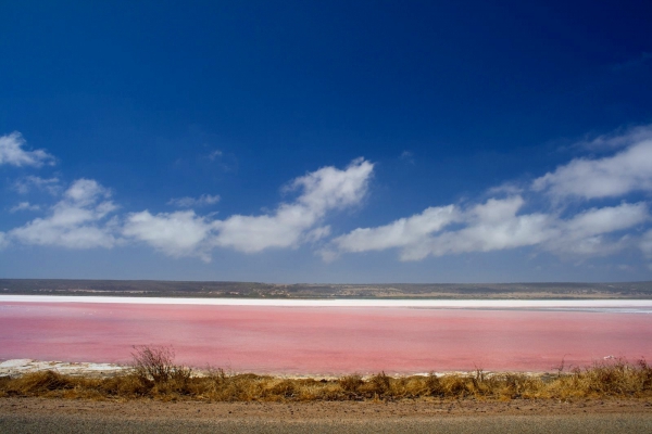 Zdjęcie z Australii - Pink Lake kolo Meningie
