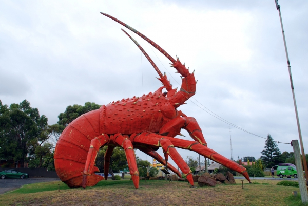 Zdjęcie z Australii - Wielki homar (lobster)...