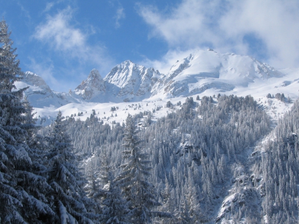 Zdjęcie z Francji - Alpy 