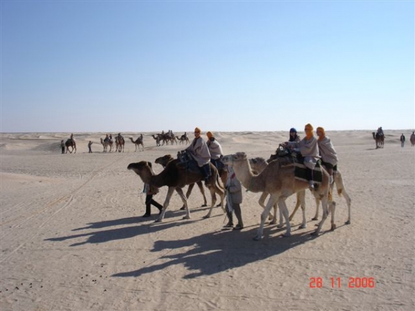 Zdjęcie z Tunezji - Przejażdżka wielbłądami
