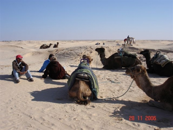 Zdjęcie z Tunezji - Przejażdżka wielbłądami
