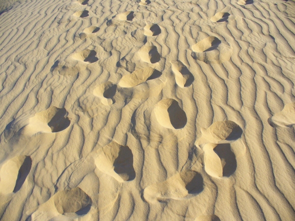Zdjęcie z Tunezji - ślady na piasku