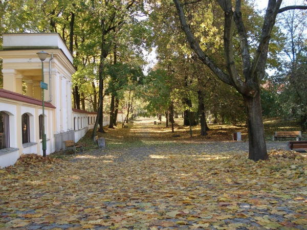 Zdjęcie z Polski - Jesień w parku.
