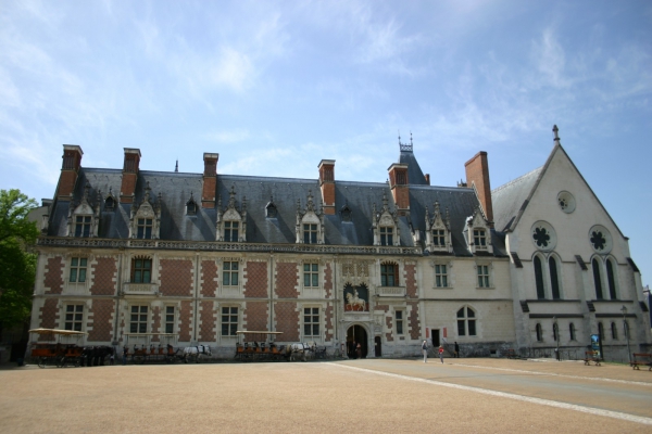 Zdjęcie z Francji - Zamek Blois