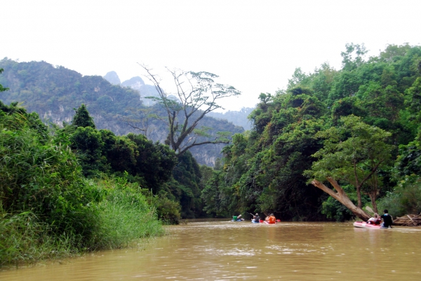 Zdjecie - Tajlandia - Khao Sok - rzeka i małpy