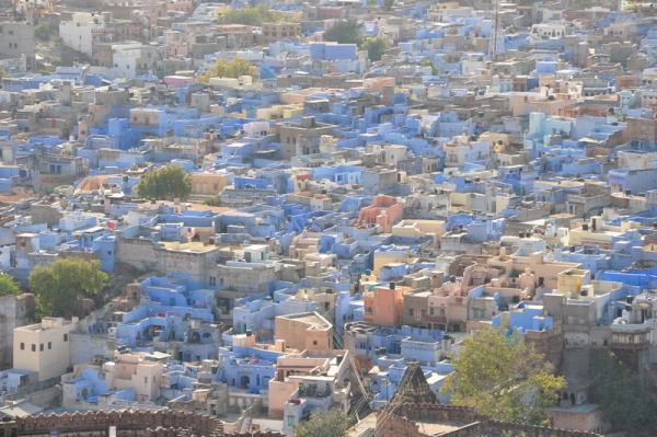 Zdjęcie z Indii - Jodhpur - Błękitne Miasto