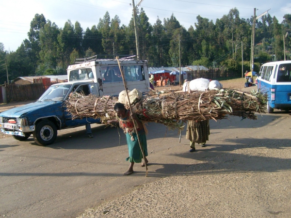 Zdjęcie z Etiopii - Transport opału