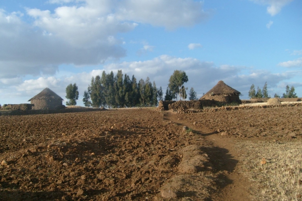 Zdjęcie z Etiopii - Wieś