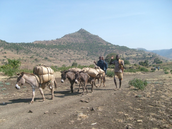 Zdjęcie z Etiopii - Pozdrowienie