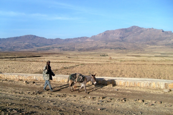 Zdjęcie z Etiopii - Idący przed siebie