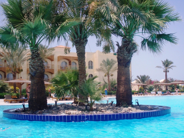 Zdjęcie z Egiptu - Hotel "Desert Rose"