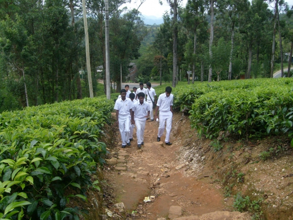 Zdjęcie ze Sri Lanki - Powrót ze szkoły
