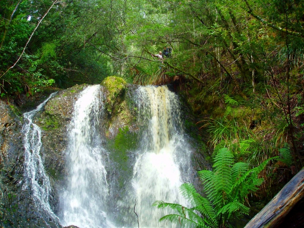 Zdjęcie z Australii - wodospad Hogarth Falls 