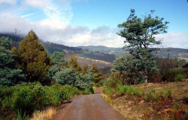 Zdjęcie z Australii - Tasmanskie krajobrazy