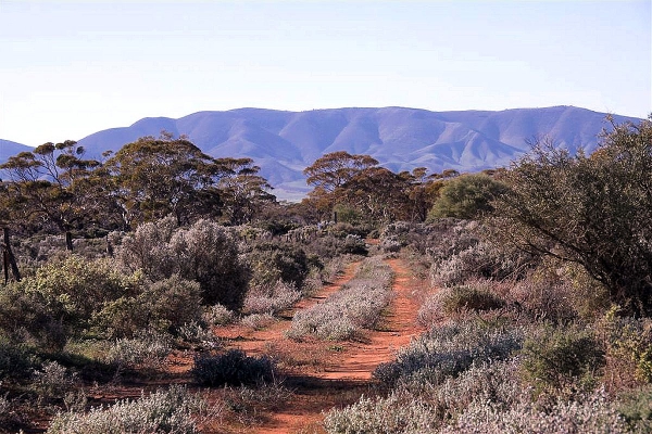 Zdjęcie z Australii - Gory Flinders Ranges