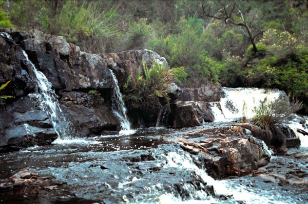 Zdjęcie z Australii - Wodospad McKenzie Falls
