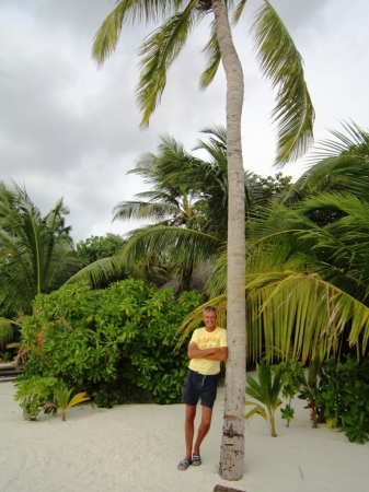 Zdjęcie z Malediw - podtrzymuje palme ;)
