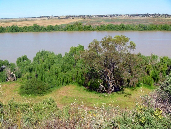 Zdjęcie z Australii - Rzeka Murray River