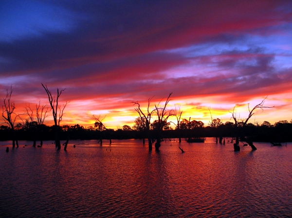Zdjecie - Australia - Riverland