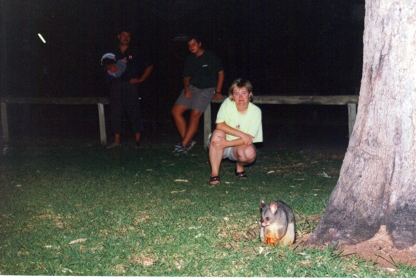 Zdjęcie z Australii - Possum (opos)
