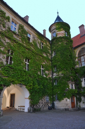 Zdjęcie z Czech - Zamek Hruba Skała