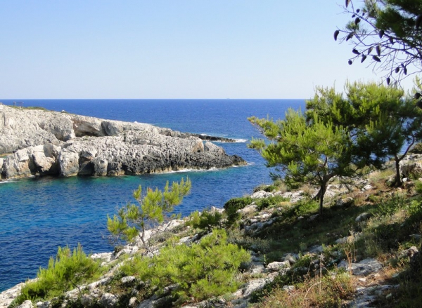 Zdjęcie z Grecji - Urocza zatoka Limnionas