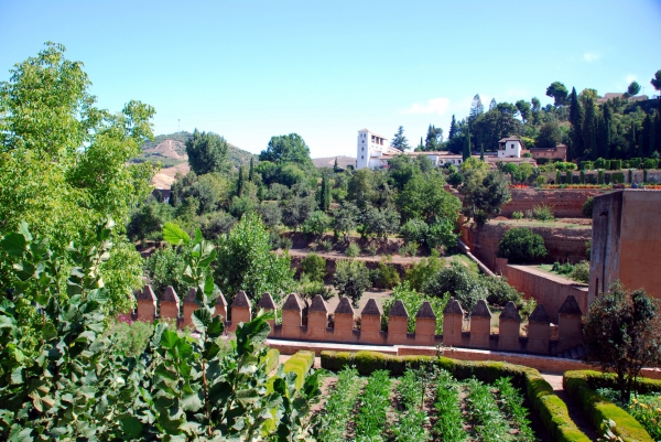 Zdjęcie z Hiszpanii - Widok na ogrody Alhambry
