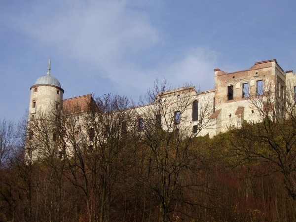 Zdjęcie z Polski - zamek w Janowcu