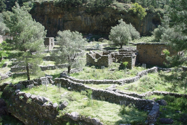 Zdjęcie z Grecji - Ruiny Samarii