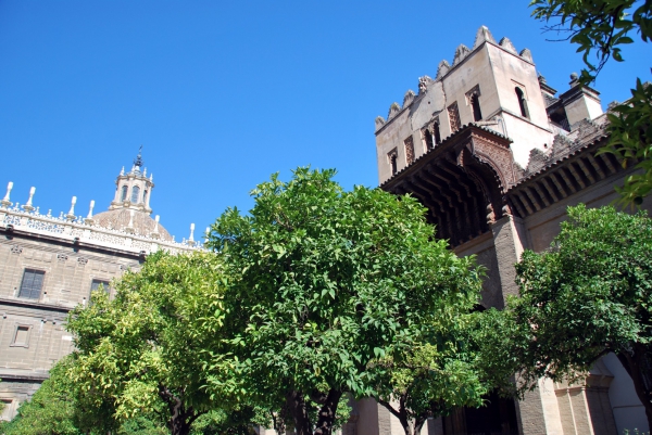 Zdjęcie z Hiszpanii - Dziedziniec katedry