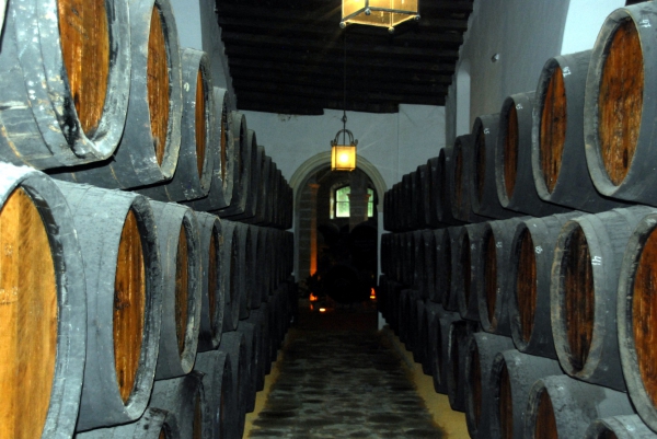 Zdjęcie z Hiszpanii - Piwnice winiarni 