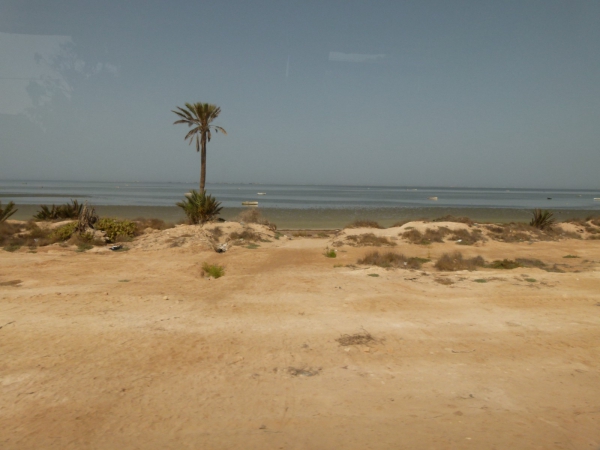 Zdjęcie z Tunezji - Krajobraz Djerby.