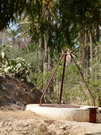 Zdjęcie z Tunezji - Studnia w gaju palmowym.