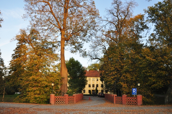 Zdjęcie z Polski - Widok na zamek w Krokowej
