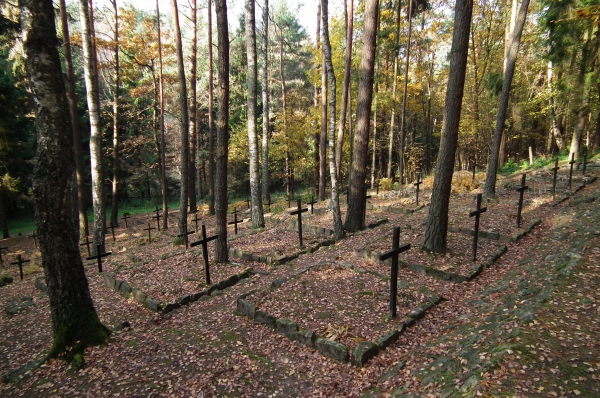Zdjecie - Polska - Cmentarz wojenny z 1914 r. w Drwęcku