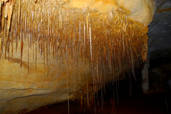 Zdjęcie z Australii - Niesamowite stalaktytowe